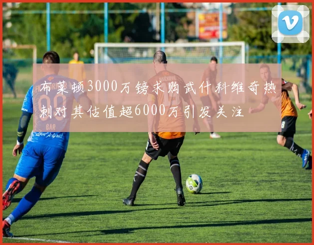 布莱顿3000万镑求购武什科维奇热刺对其估值超6000万引发关注